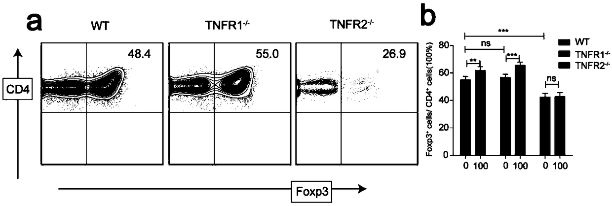 Application of TNFR1 gene and encoded protein thereof