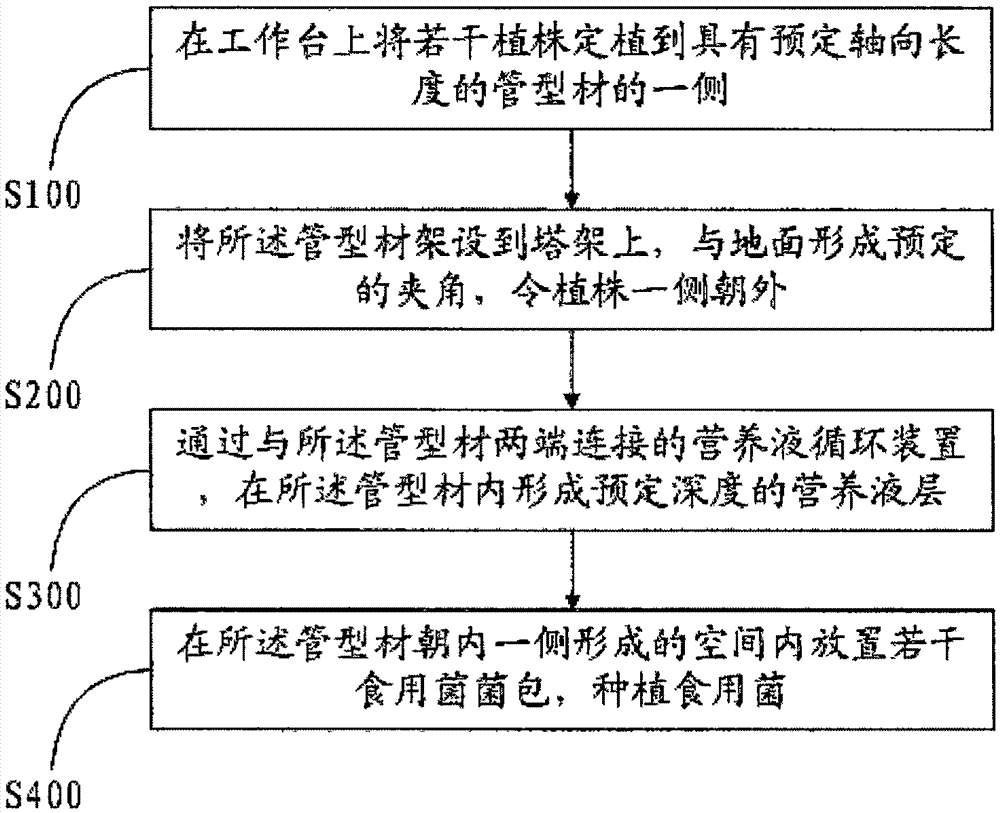 Three-dimensional water culture method and system and hydroponic plant thereof