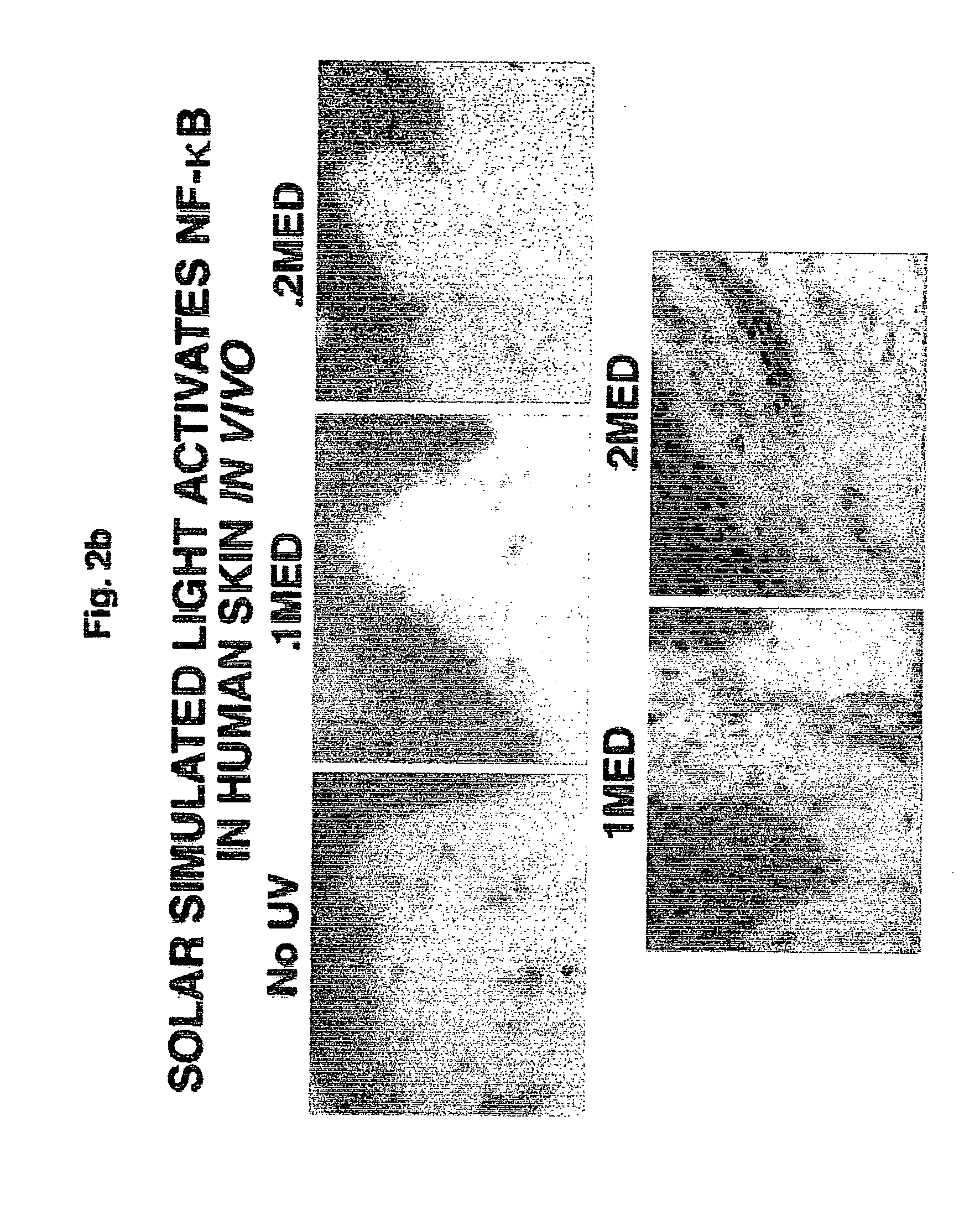 UVA (&gt; 360-400) and UVB (300-325) specific sunscreens