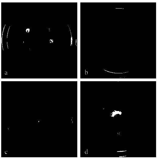 Lilium regale germin-like protein gene LrGLP2 and application thereof