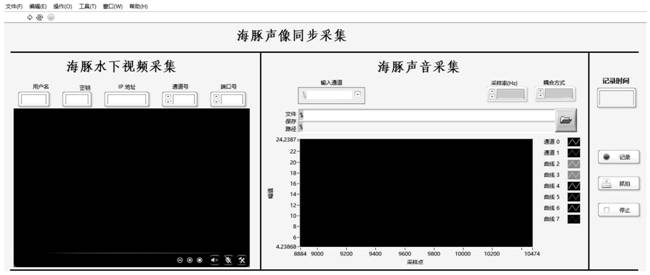 A Dolphin Audio-Video Synchronous Acquisition System