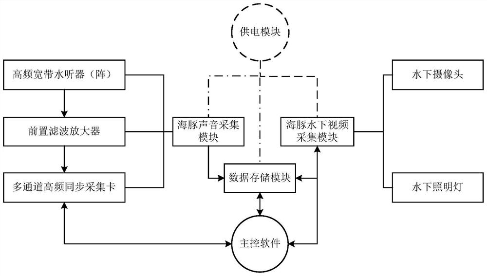 A Dolphin Audio-Video Synchronous Acquisition System