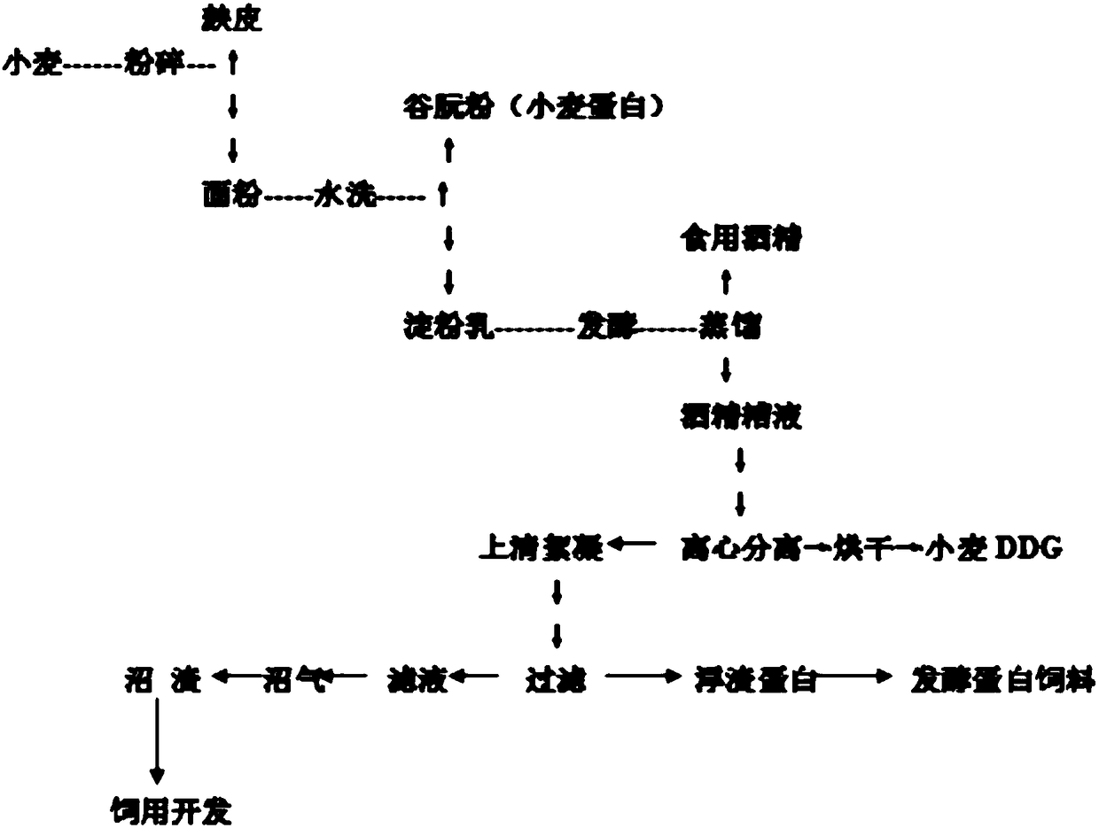 Production method of feed from wheat distillers' grains by non-drying method and feed