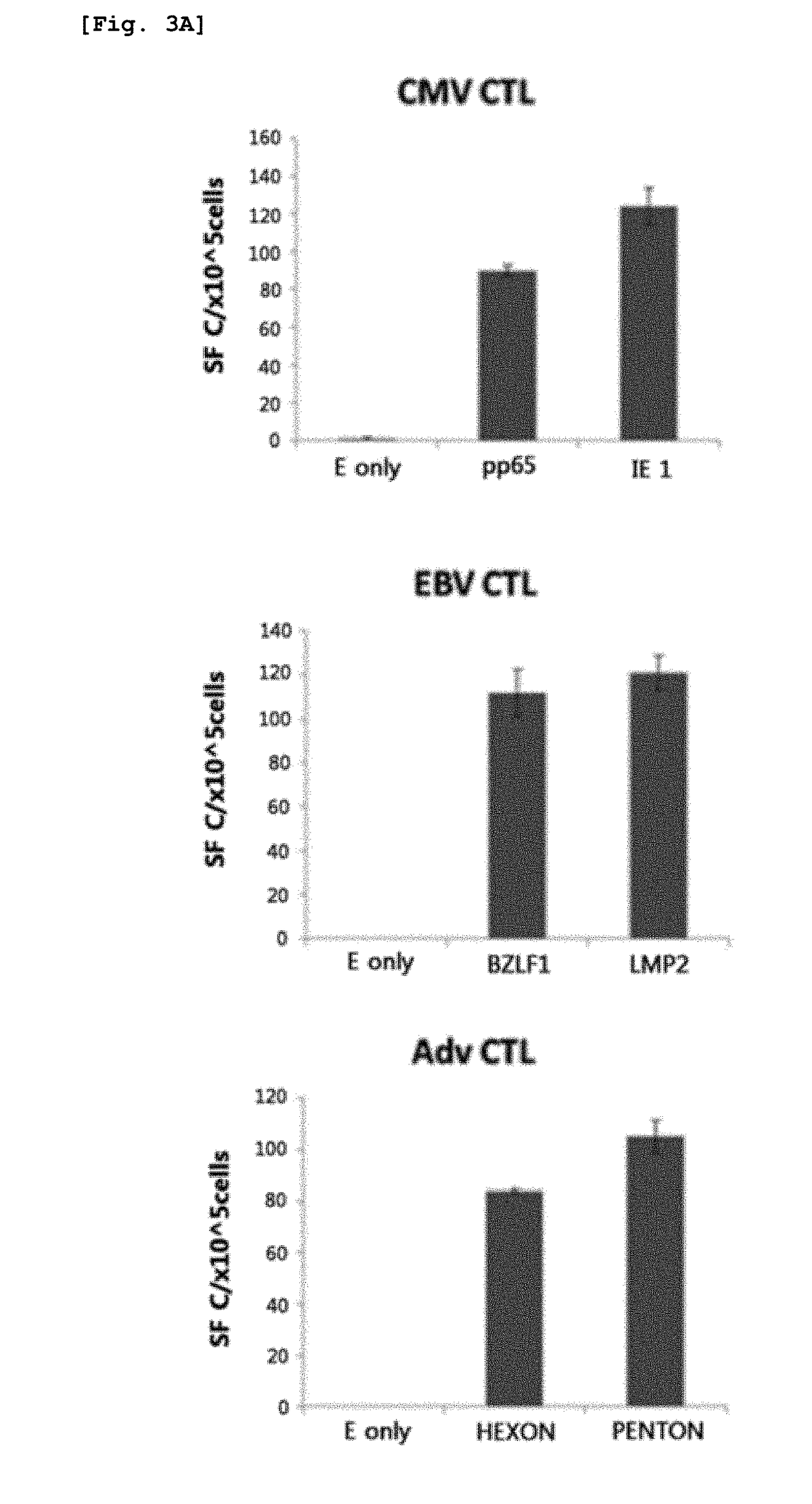 Method for preparing antigen-specific cytotoxic t-cells by using activated b-cells and use thereof