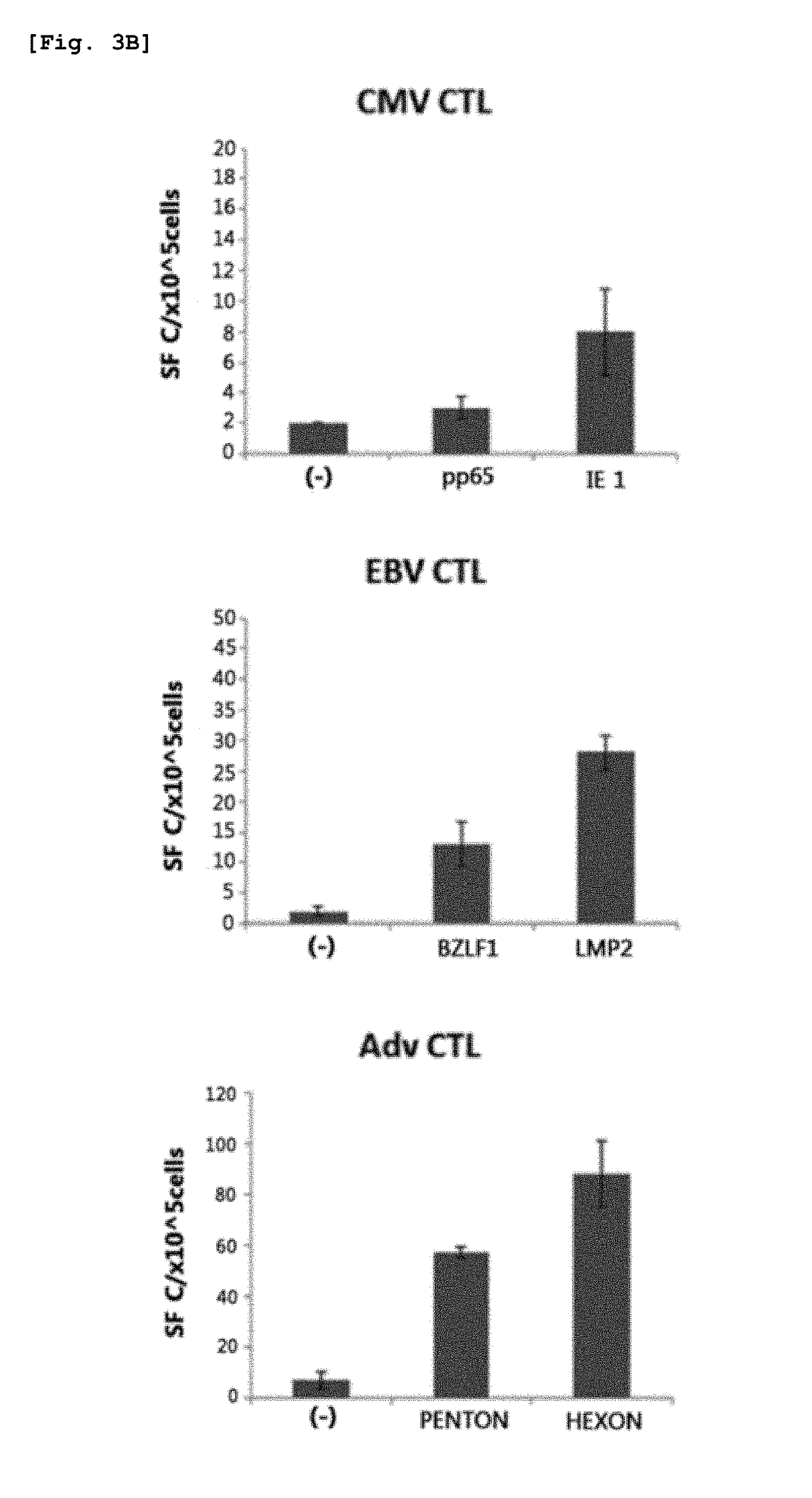 Method for preparing antigen-specific cytotoxic t-cells by using activated b-cells and use thereof
