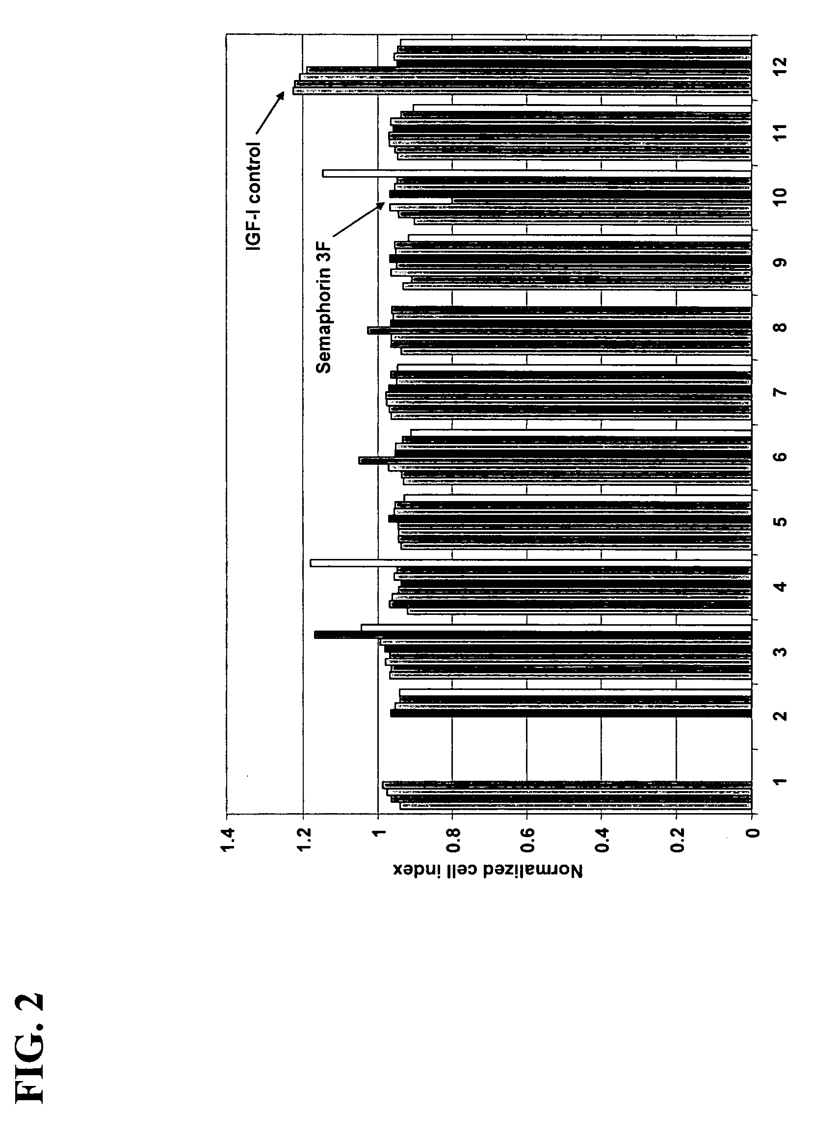 Compositions and methods of use of Semaphorin 3F and antagonists thereof in the stimulation of neuromuscular regeneration and treatment of muscular diseases