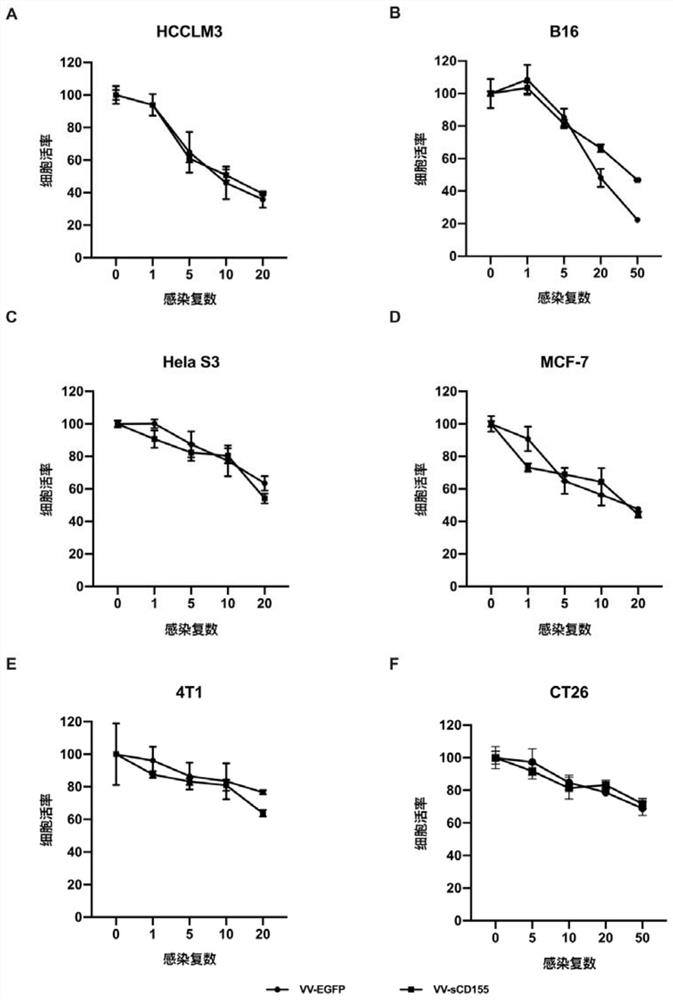 Novel recombinant oncolytic vaccinia virus for blocking immune inspection point and activating immune co-stimulation, construction method for novel recombinant oncolytic vaccinia virus and application of Novel recombinant oncolytic vaccinia virus