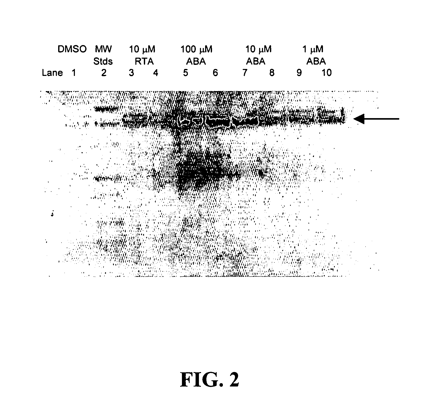 Abscissic acid and derivatives thereof for the treatment of diseases