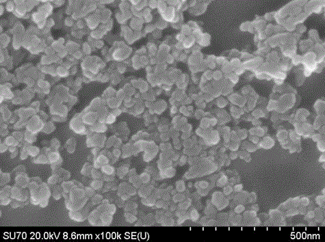 Erbium-doped calcium titanate luminescent nanoparticles and preparation method thereof