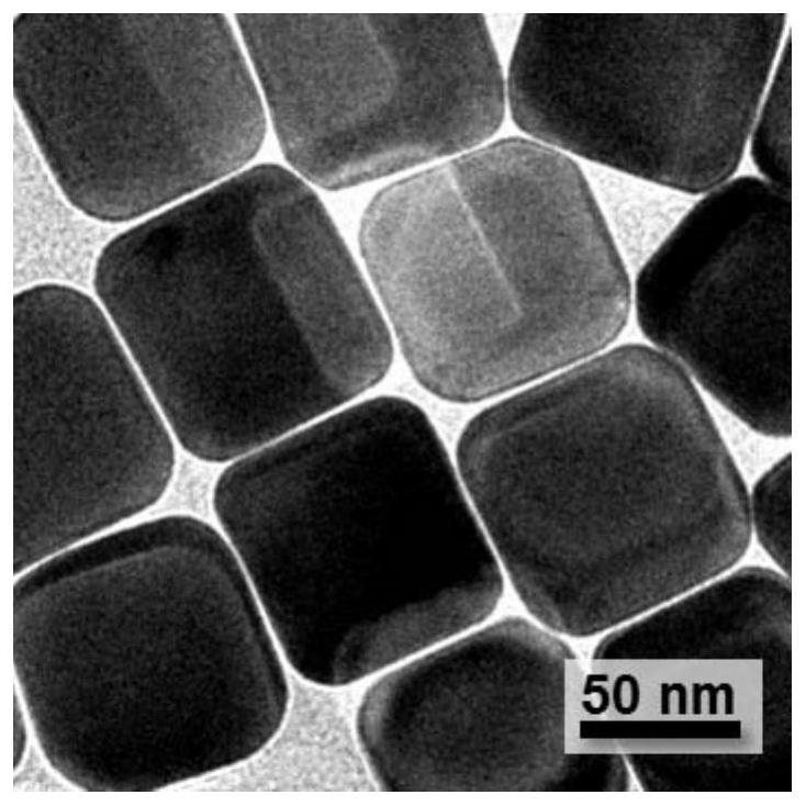 Thermosensitive gold nanocage and its preparation method and application, drug-loaded thermosensitive gold nanocage and its preparation method