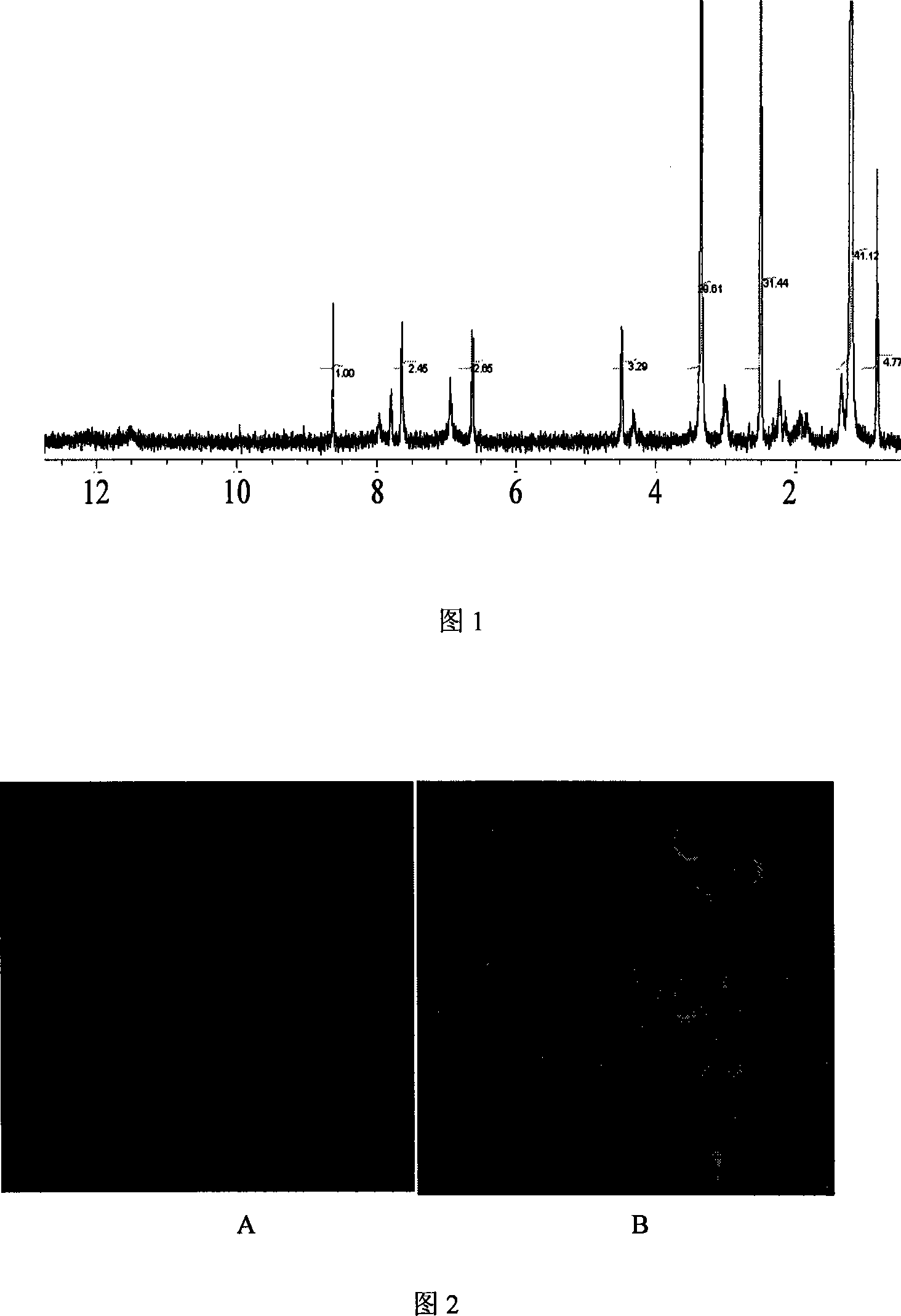 Derivative of folacin alkylation and application