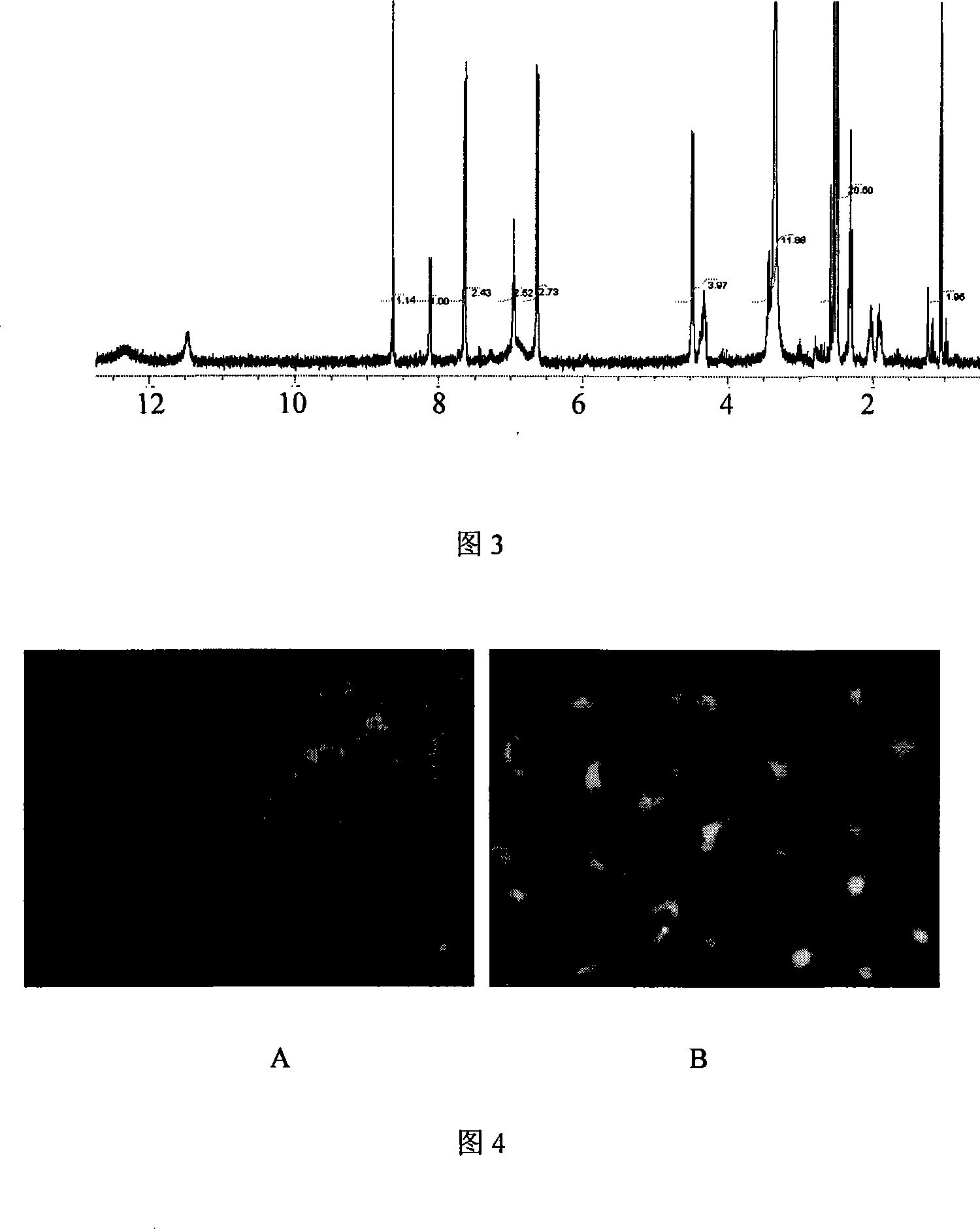 Derivative of folacin alkylation and application