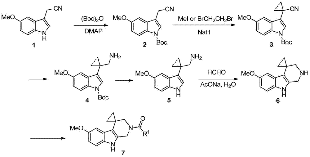 Indole derivatives and use thereof in medicine