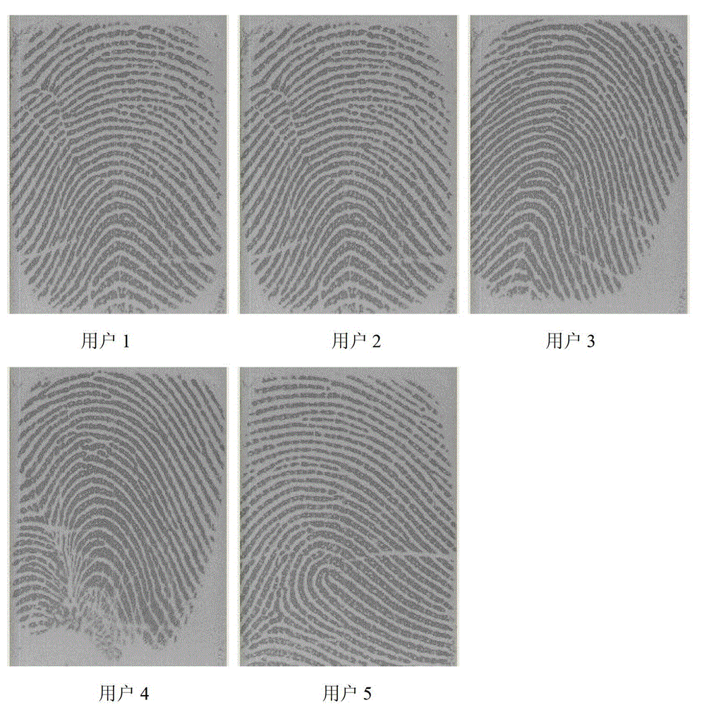 Fingerprint fuzzy vault method based on (k, w) threshold secret sharing scheme