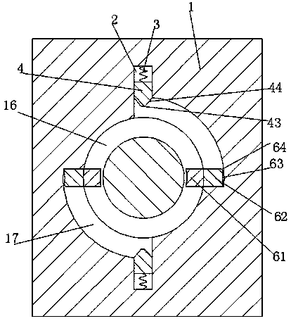 Novel polishing device