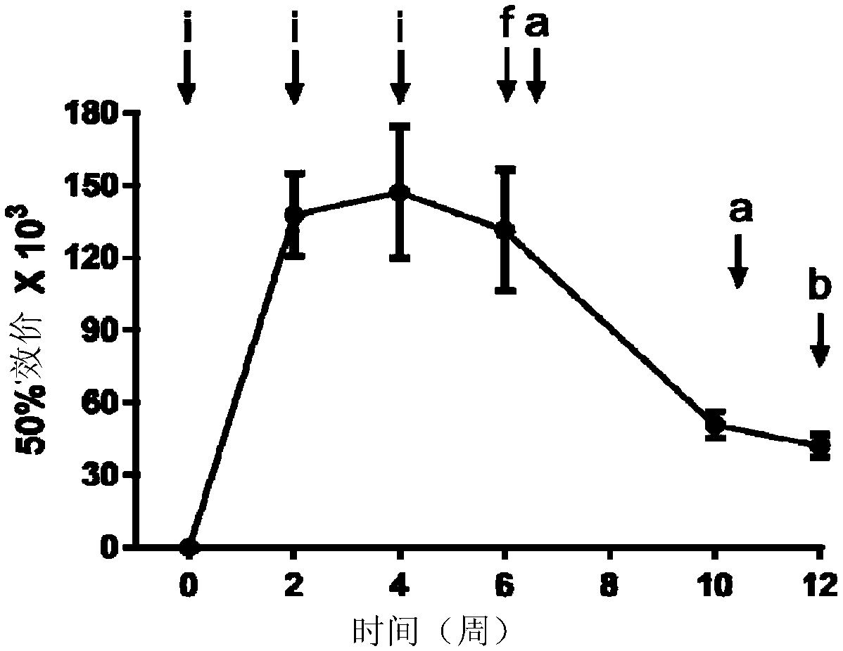 Synthetic opioid vaccine