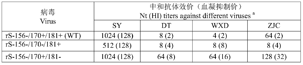 H5-subtype avian influenza vaccine candidate strain rS-156-/170+/181- as well as construction method and application thereof