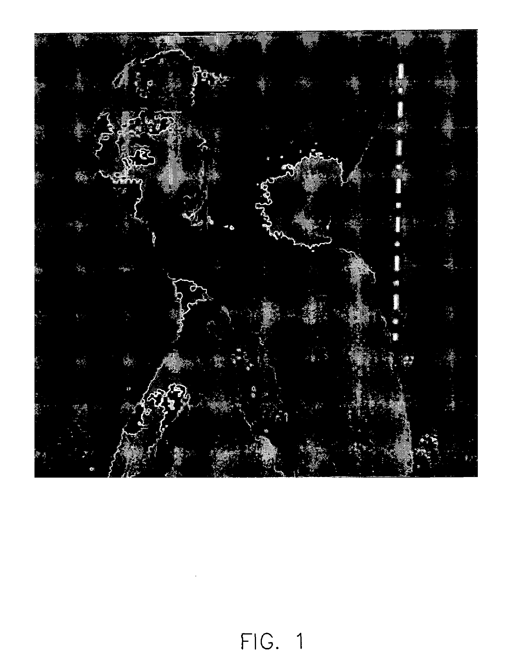 Method and apparatus for enhanced fat saturation during MRI