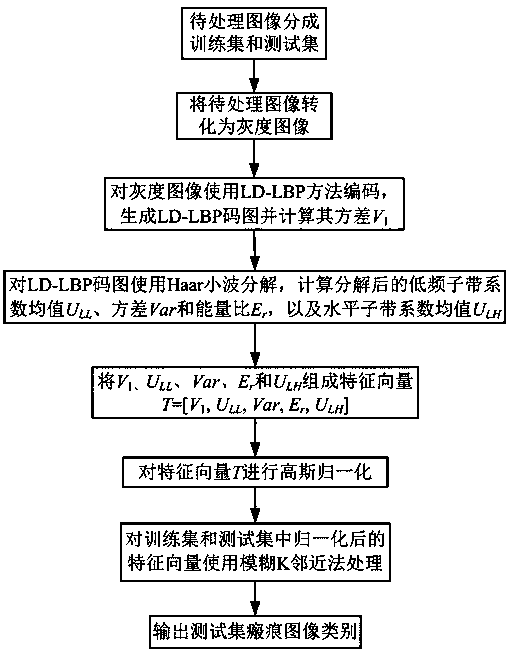 Skin scar image judgment method based on second harmonic image texture analysis