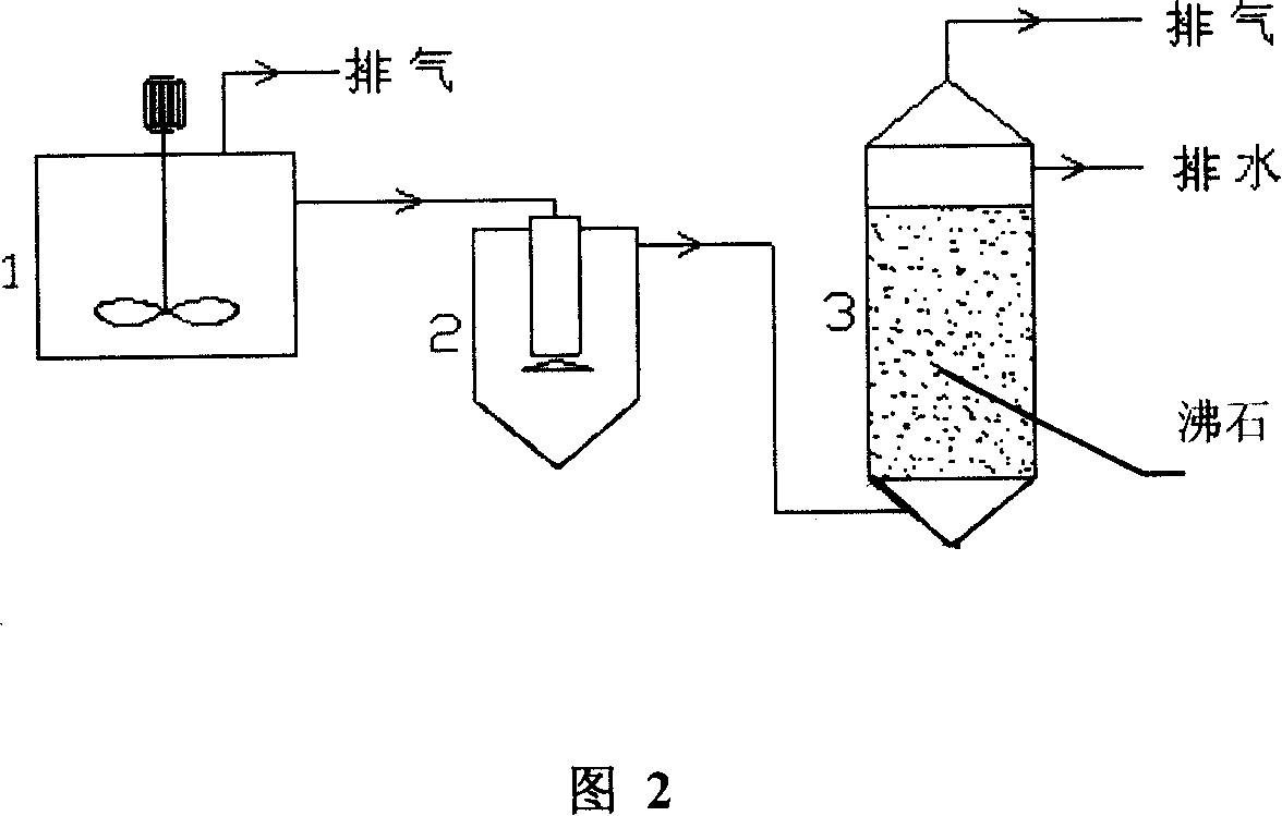 Zeolite strengthened anaerobic ammoxidation sewage processing technique