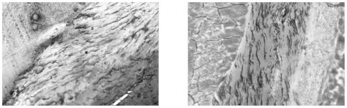 Non-decalcified bone tissue plastic embedding ultrathin flaking method