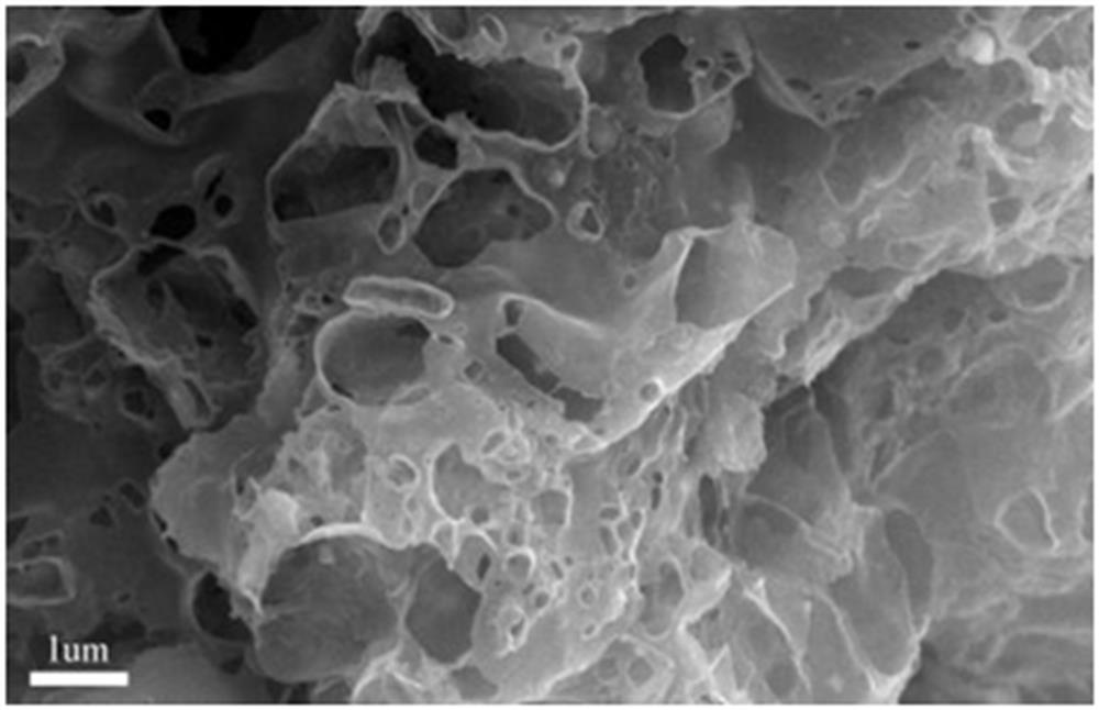 Adhesive with double functions of electromagnetic shielding and heat conduction for electronic packaging and preparation method of adhesive