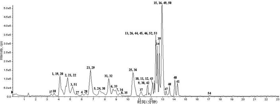 Method for simultaneously measuring various drug residues in honey by utilizing liquid chromatogram tandem mass spectrum isotope dilution method