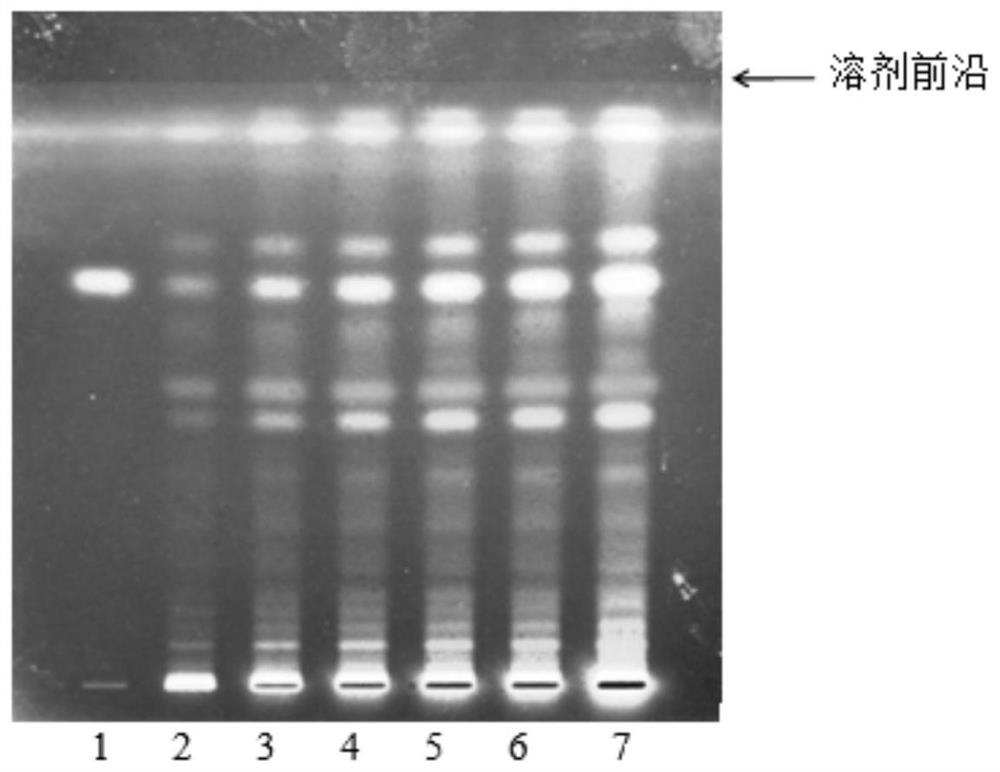 Preparation method and thin-layer identification method of rhizoma dioscoreae septemlobae test sample