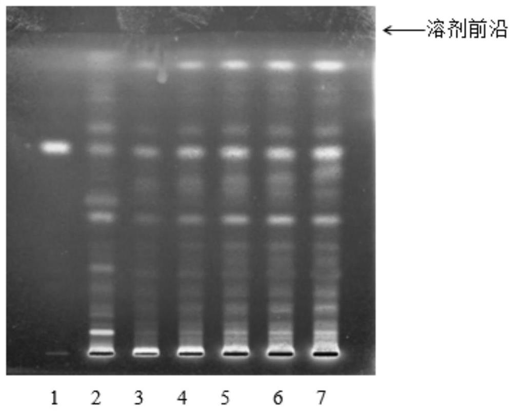 Preparation method and thin-layer identification method of rhizoma dioscoreae septemlobae test sample