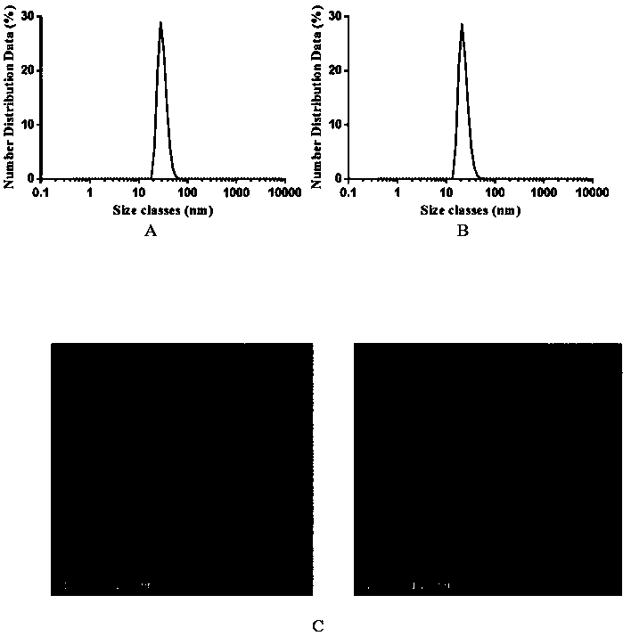 Preparation method of CPZ-coupled MS2 protein nanoparticles and application thereof in breast cancer resistance