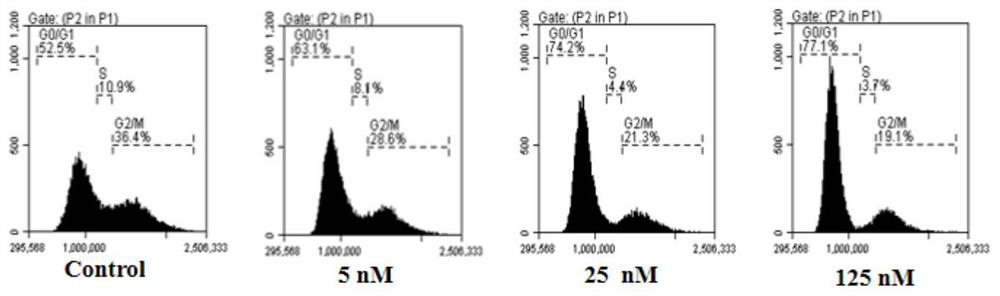 High morpholine compound, preparation method, pharmaceutical composition and application