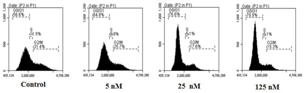 High morpholine compound, preparation method, pharmaceutical composition and application