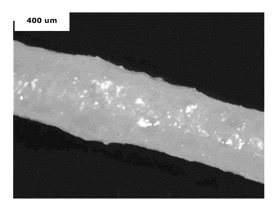 Polyamide/polyphenylene ether fibers and fiber-forming method