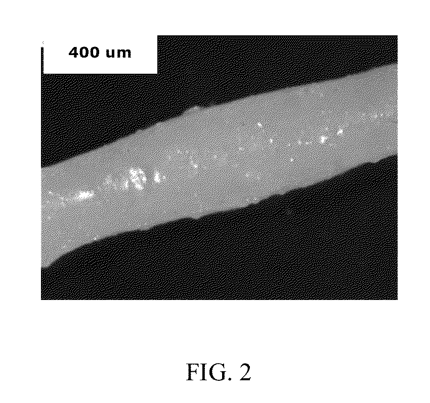 Polyamide/polyphenylene ether fibers and fiber-forming method