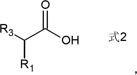 Preparation method of ketone compound and its derivatives