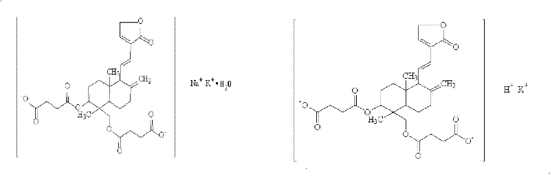 Sterile andrographolide and preparation method thereof