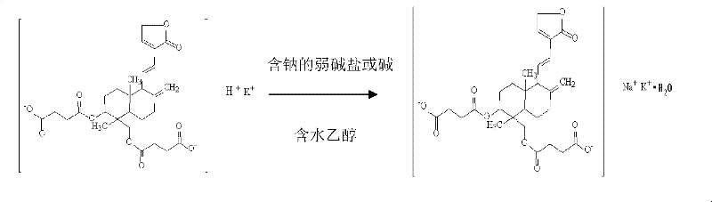 Sterile andrographolide and preparation method thereof