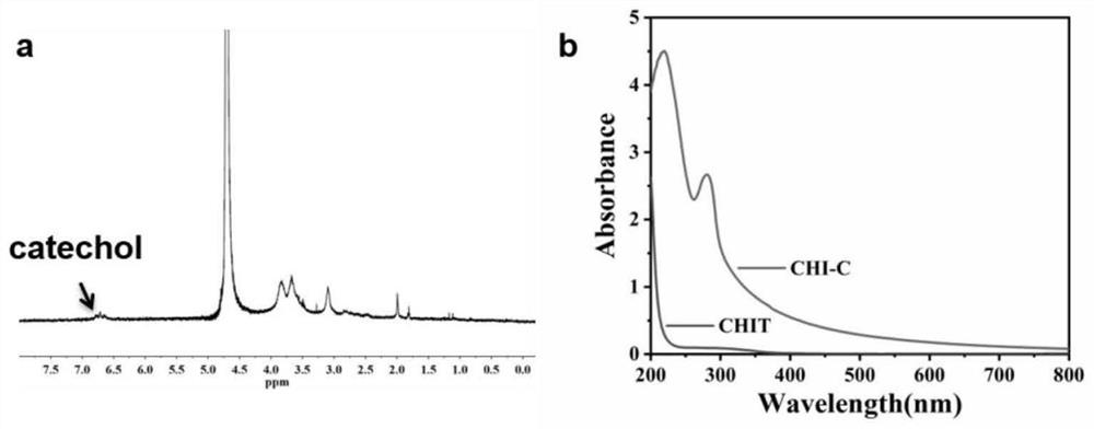 Multifunctional natural polysaccharide repair adhesive hydrogel, preparation method and application thereof in preparation of drugs for treating skin injury