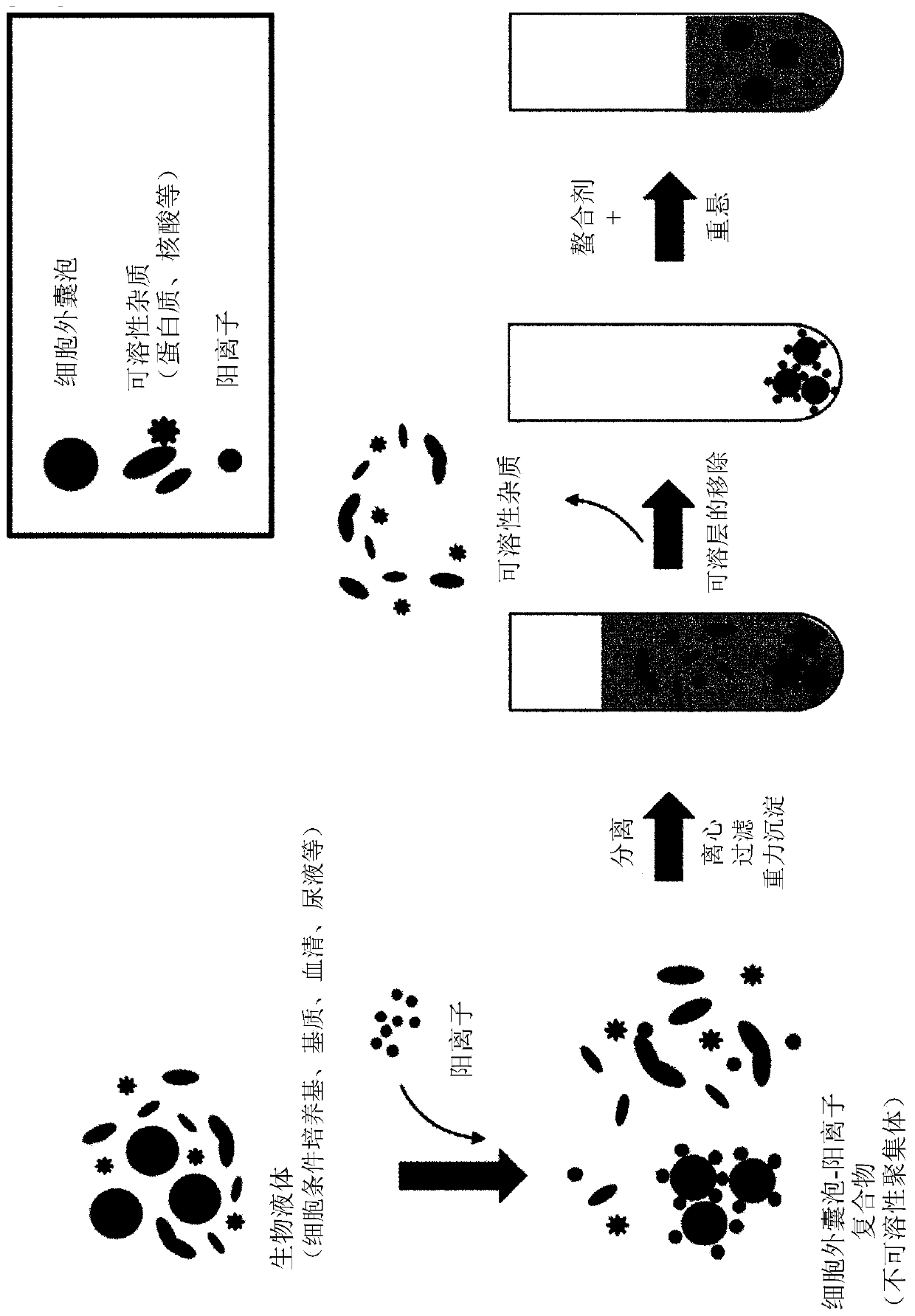 Method for isolating extracellular vesicles using cations