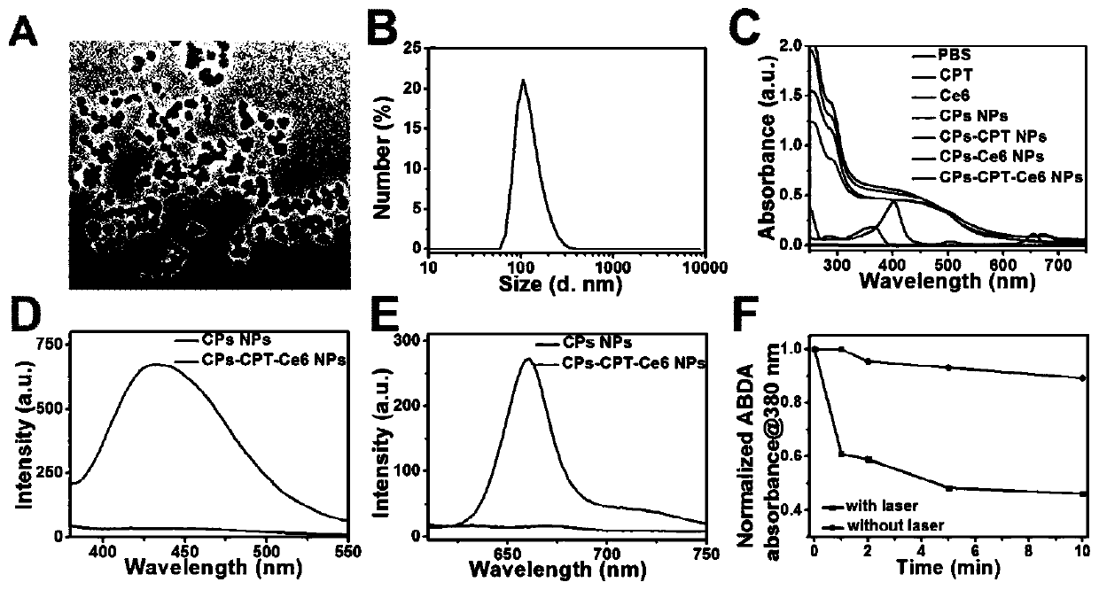 A kind of hypoxia responsive polymer nanoparticle and its application