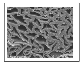 Sweetcane bark fiber composite and preparation method thereof