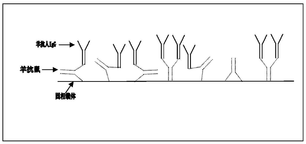 New HIV infection detection kit and preparation method