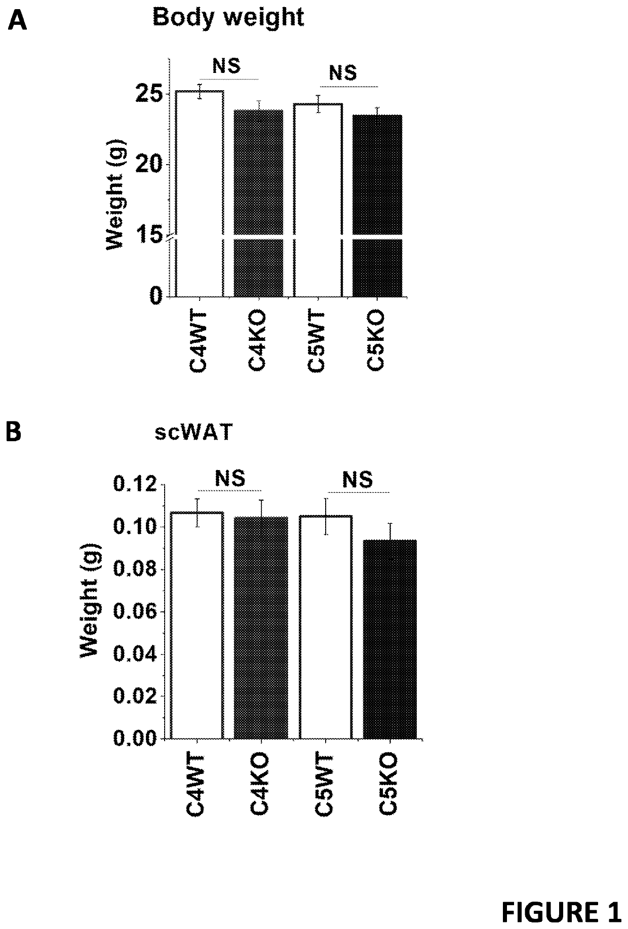 Trpc ion channel inhibitors for use in therapy