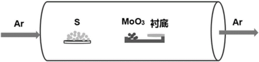 Method for preparing monolayer molybdenum disulfide