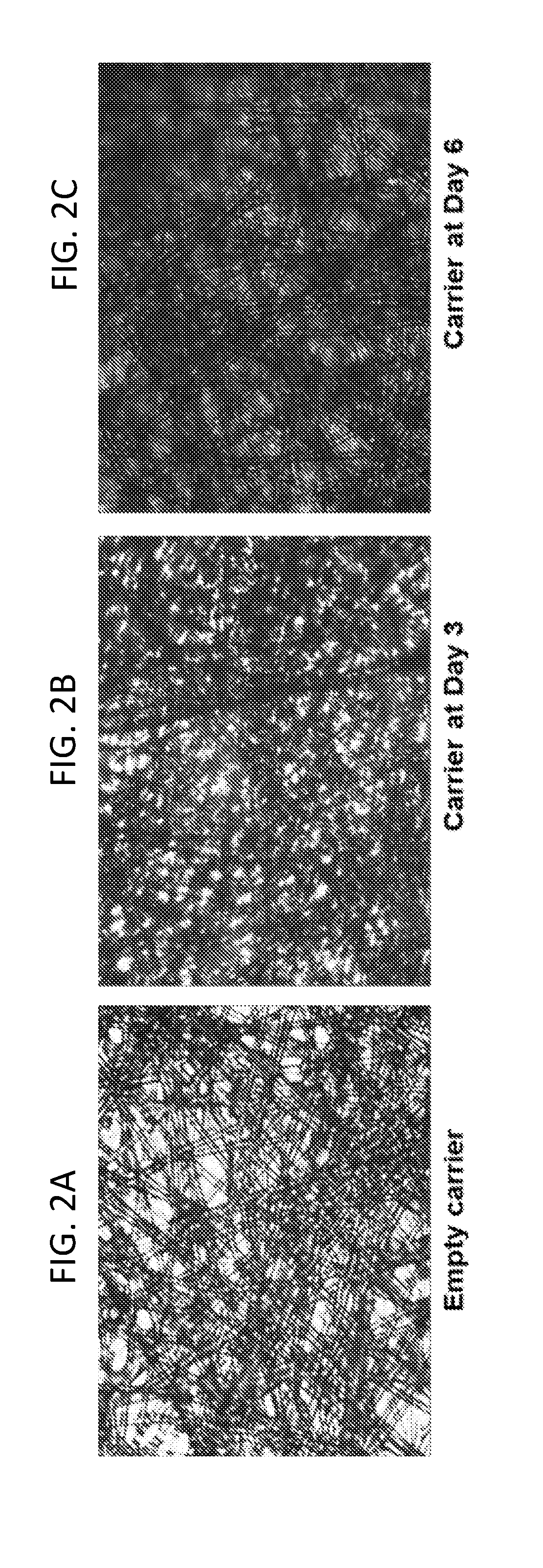 Methods for producing virus for vaccine production