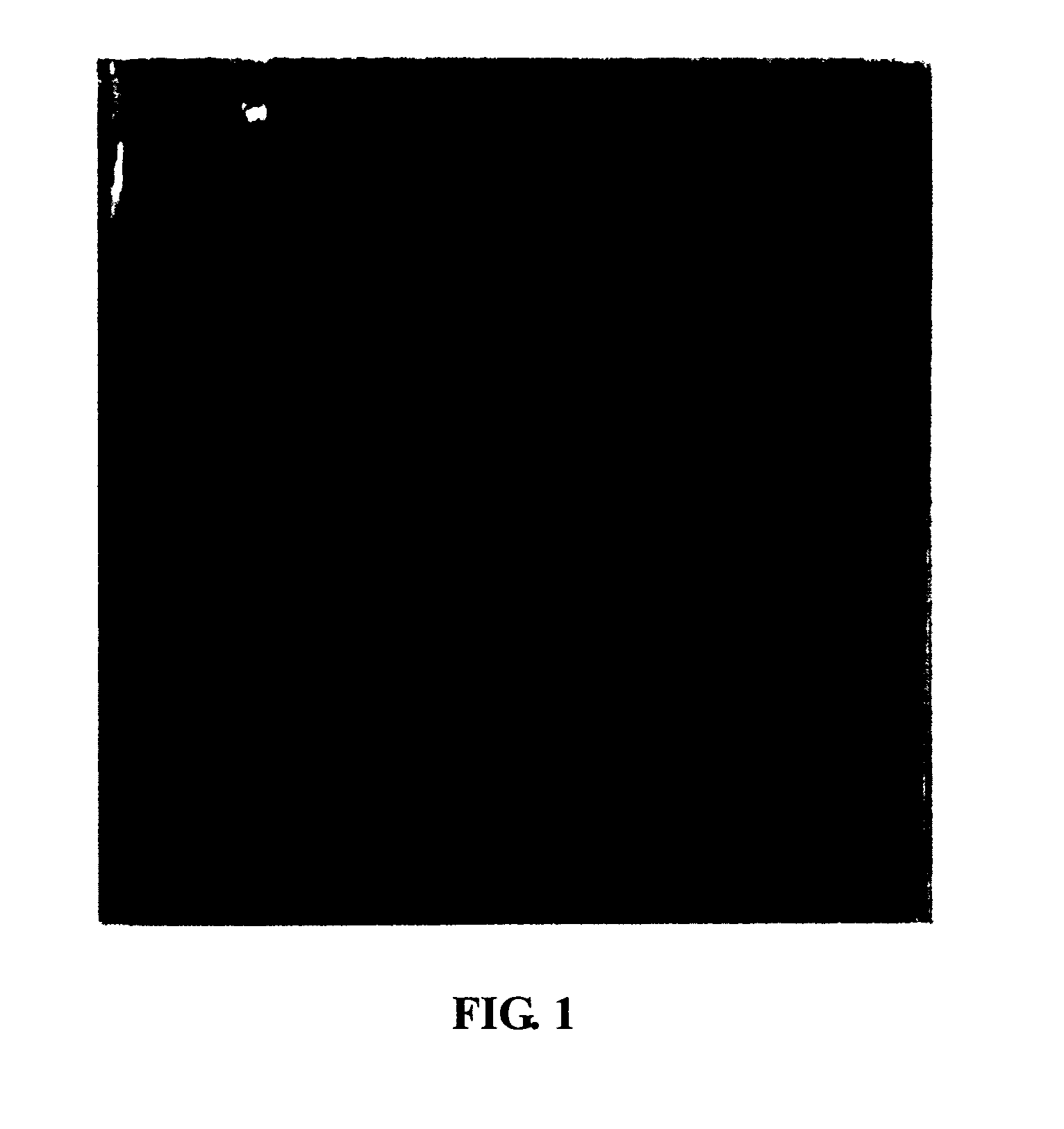 Medicament and method for treating recurrent spontaneous abortion