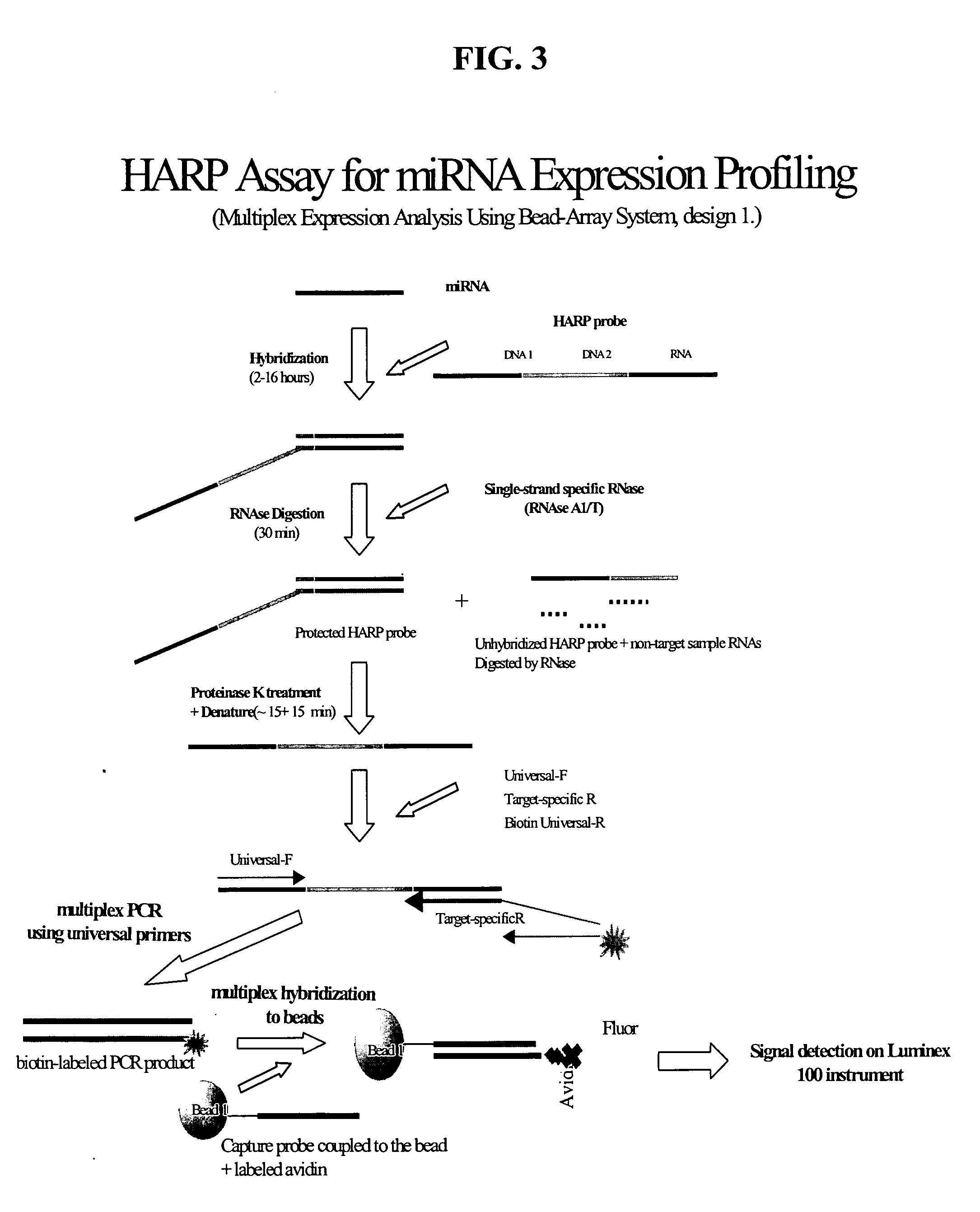 Methods and compositions for analyzing nucleic acids