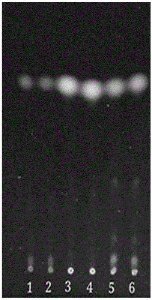 TLC (Thin-Layer Chromatography) detection method for Chinese angelica in herba leonuri biochemical mixture