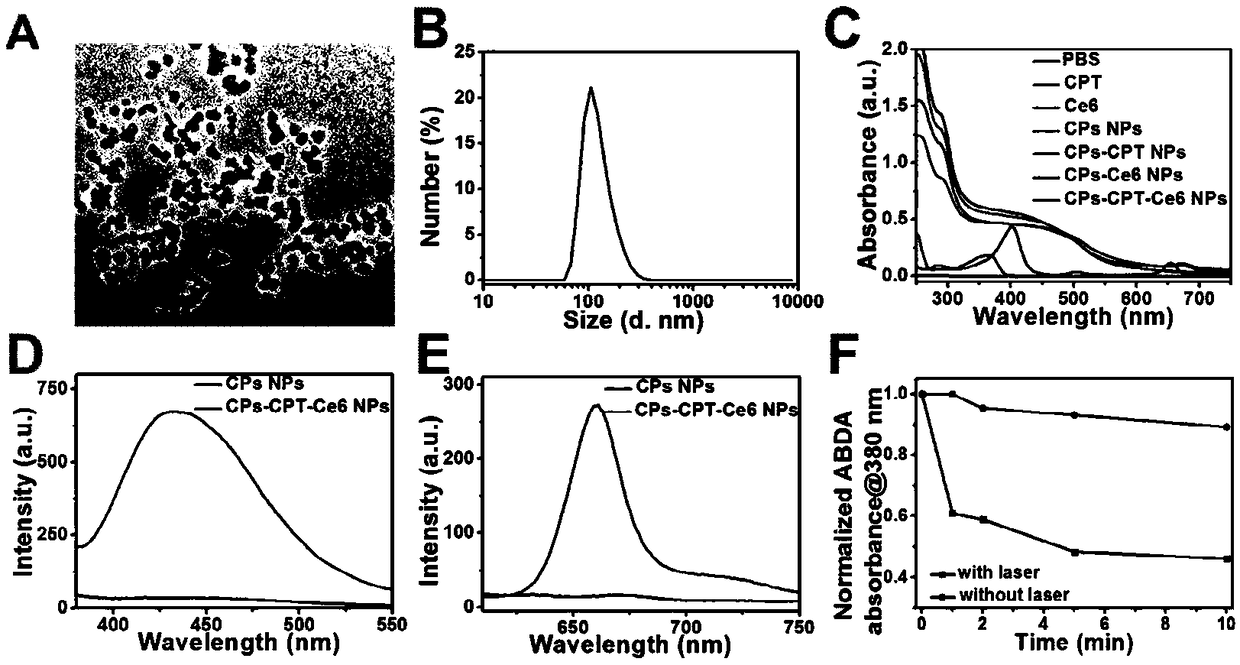 Hypoxia response polymer nanoparticle and application thereof