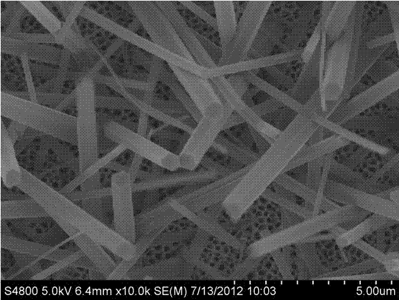 Method for preparing metal organic frame gas separating film by utilizing pinning effect of metal organic nano rod array on macro-pore substrate